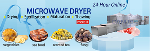 Industrial Microwave <b>Drying</b> <b>Equipment</b> Stainless Steel Food Processing Machinery Commercial Dehydration System - Product Image 4