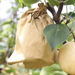 guava fruit protection bags guava fruit protection bags
