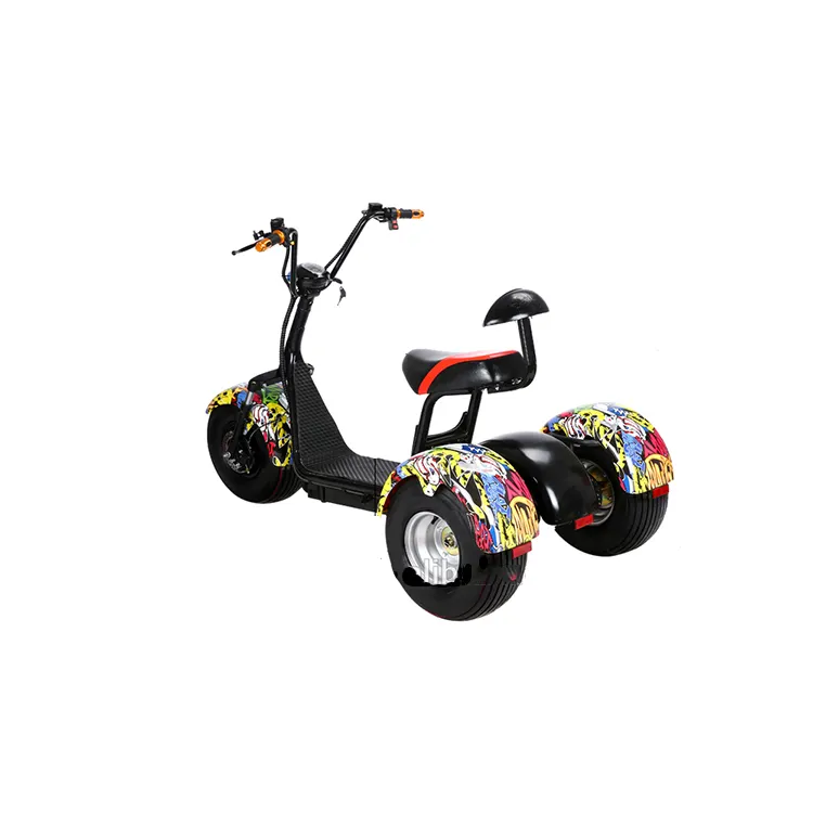 Bicycle 1000ワットMotorized Wide Three Whee Electric Scooter For Adult