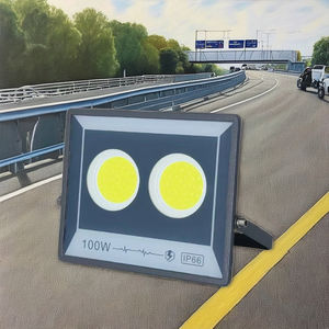 7000 Lumens 100 w 100 Watt Projecteur Extérieur Étanche Led 48v Ip 66 Ip66 Ce Roh Ip67 Chaud Linéaire Dob Projecteur pour <span class=keywords><strong>Tennis</strong></span> - Product Image 1