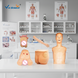 Modelo de Entrenamiento de Enfermería Avanzado, Nuevo Modelo Básico de Práctica de Enfermería, Modelo de Práctica de Sutura Vulvar - Product Image 1