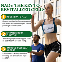 Capsules de supplément NAD Resvératrol 500mg à marque privée OEM avec Quercétine Phytosome pour soutenir les niveaux de NAD et favoriser un vieillissement sain