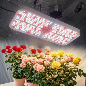 Sistema de Cultivo LED de Espectro Completo Regulable de 800W para Producción de Rosas y Cultivo Hidropónico - Product Image 6