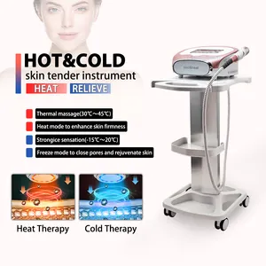 New Cool and Heat Skin Rejuvenation Device Hot& Cold Skin Care Machine Electroporation wall penetration Beauty Machine