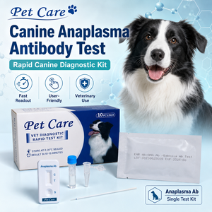 Kit de Prueba Rápida de Anticuerpos de Brucella Canina para Clínicas Veterinarias, Kit de Detección de <span class=keywords><strong>C</strong></span>.<span class=keywords><strong>Bru</strong></span> Ab con Lectura Precisa - Product Image 3
