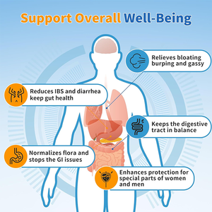 Rosebest Fornitore Cinese di Integratori in Polvere Personalizzati con Fibre Alimentari Prebiotiche e Miscela Probiotica dal Sapore Naturale per la Salute Intestinale Umana - Product Image 2