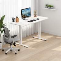 Bureau de travail ergonomique électrique automatique pour la maison, bureau à hauteur réglable à double moteur, cadre de bureau assis-debout