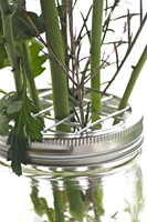 Grille métallique réutilisable pour arrangements floraux, compatible avec les bocaux en verre Mason, pour couvercles de type Flower Frog