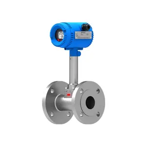 VFM60N Standard Vortex Flowmeter For Hot Steam Measuring Flowmeter Air Vortex Flow Meter