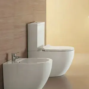 Toilette a due pezzi in ceramica smaltata bianca cinese