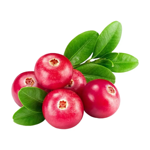 ผงน้ำแครนเบอร์รี่ขายส่ง ผงสารสกัดแครนเบอร์รี่ แอนโทไซยานิน 25% สารสกัดแครนเบอร์รี่ - Product Image 4