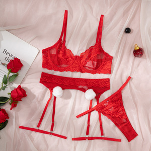 Grosir Set Lingerie renda bordir tipis Set Bra dan celana dalam wanita natal laris - Product Image 6