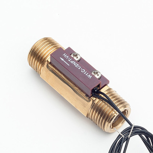 Interruttore di Flusso Elettronico per Acqua W11C-1/2NPT 70W Installazione Verticale Guscio in Rame Pressione 38mm 70W 200V 400DC - Product Image 3