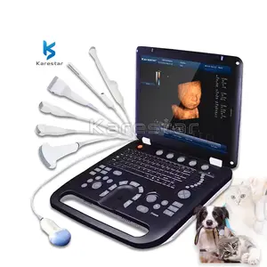 Best Verkopende Veterinaire Hoge Kwaliteit 4d Laptop Kleur Doppler Echografie 3d Ultrasone Laptop En Sonde