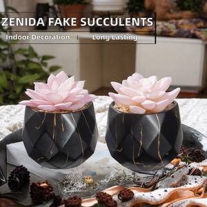 ZENIDA Duurzame Kunstmatige Vetplanten 2 Zwarte Keramische Potten Leuke Kunstplanten Kantoor Thuis Badkamer Decor Vrouwen Meisjes Verjaardag - Product Image 2