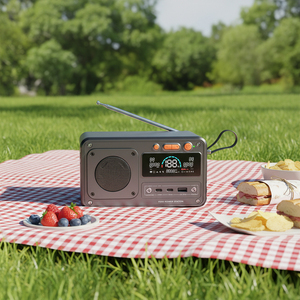 Station d'alimentation solaire portable 200W DC pour camping et extérieur, avec radio FM et batterie LiFePO4, pour ordinateur portable et situations d'urgence - Product Image 6