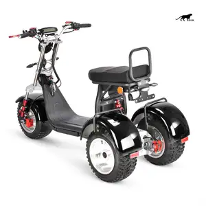 Motocicleta doble de 2000W, triciclo para adultos, patinete eléctrico de 3 ruedas, pantalla LCD personalizada, 60V, 10 pulgadas, Sidecars, triciclo, 2 manos abiertas, 225 - Product Image 1