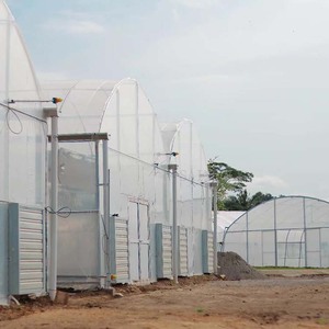 Venda quente em segunda mão Multi-span estufas e tipos de parede para venda com pano de controle comercial embutido - Product Image 1