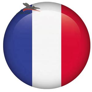 Emballage logistique de conteneur Agent maritime ferroviaire transitaire de fret de la Chine à la France - Product Image 1