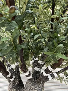 Grande simulation d'olive ombre extérieure en plastique arbre d'olive artificiel grand arbre faux olive
