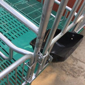 Sows yavrulama kasaları hayvan kafesleri domuz kafesi için yeni çift birim h-tipi domuz yetiştiriciliği ekipmanları - Product Image 5