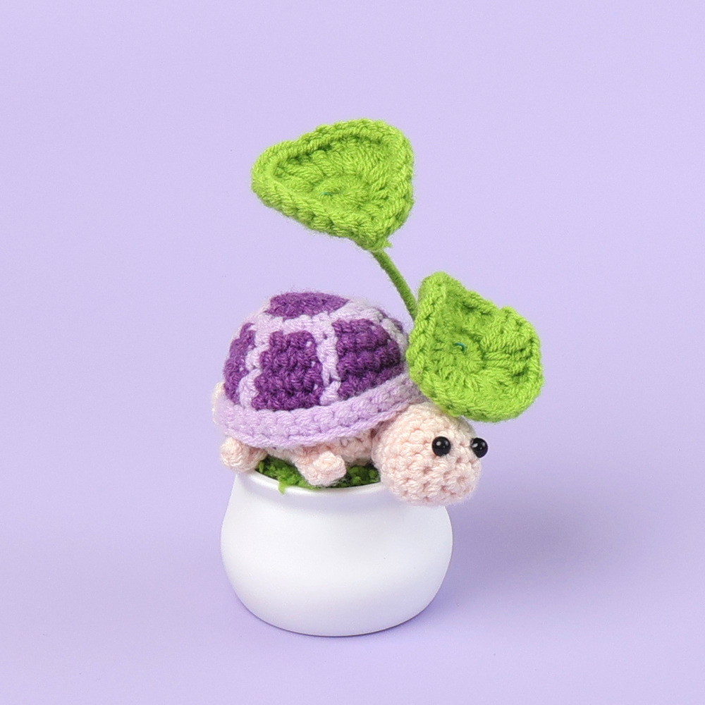 Tortuga (sombra bajo la hoja) planta en maceta - morado