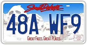 Placa de Matrícula Personalizada Hecha en Fábrica para Decoración de la Parte Delantera del Automóvil, Placa de Matrícula de Aluminio Personalizada - Product Image 3