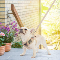 Harnais pour chien réversible et rembourré en fibre, avec logo personnalisé, design floral, gilet à pointes