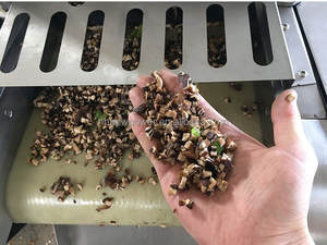 Machine à découper les fruits et légumes en dés, moteur 220V/380V/110V 1.5KW, pour concombre, oignon, aubergine, gingembre, fraise, okra - Product Image 5