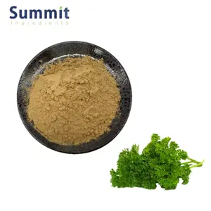 High Quality 4:1 Parsley Leaf Extract Powder