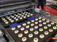 Machine à fabriquer des biscuits à deux couleurs, économe en énergie, équipement d'extrusion de biscuits industriel, ligne de production automatique