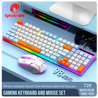 RAIKU T28 104 Key Wired Gaming Keyboard and Mouse Combo Mechanical Feel Rainbow Backlit for PC Laptop Office Home
