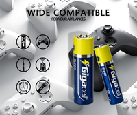 Batterie de télécommande 1.5V AA Marque OEM Cellule sèche LR6 super alcaline
