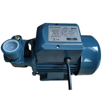 Pompe à eau centrifuge électrique haute pression Oxouxiang QB60 2024, moteur AC 0,37 kW, surpresseur, sortie 1 pouce, prise en charge OEM, 0,5 CV