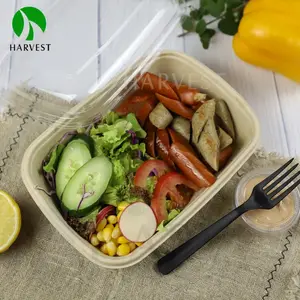 Rectangle 1000 Ml Compostable Microwave Bagasse Paper Bowl With Lid