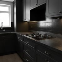 Table de cuisson à gaz à 5 brûleurs Cuisinière de cuisine intégrée pour usage domestique GPL et GNL
