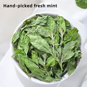 Té de Menta Verde Herbal 100% Natural al por Mayor, Procesado Fresco, Empacado a Granel, Té Adelgazante, Hoja de Menta Seca - Product Image 2