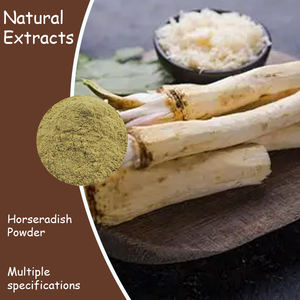 Poudre d'extrait de <span class=keywords><strong>raifort</strong></span> biologique de qualité industrielle, poudre pure de racine de <span class=keywords><strong>raifort</strong></span> - Product Image 3