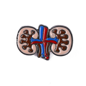 Großhandel für medizinische Geräte Souvenir Doktor Brosche Lunge Pinsanatomische Herz Emaille Pins - Product Image 5