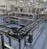 Línea de Ensamblaje de Baterías de Automóvil con Transportador de Palets y Temporizador, Directo de Fábrica, para Producción de Baterías de Litio, con Goma para Fábricas de Automóviles