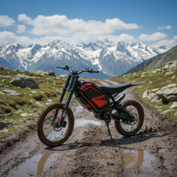 ODM OEM 60V Electric Motorcycle 30AH Off-Road with Electronic Digital System Long Range >80km/h