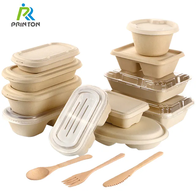 Boîte à déjeuner jetable en pâte de bagasse biodégradable, assiette de nourriture, boîte à bento à emporter, conteneur de nourriture de canne à sucre