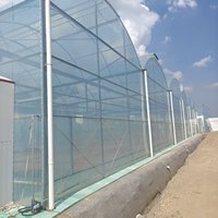 Serre commerciale multi-chapelles en film plastique PO, serre multi-chapelles en film avec ventilation