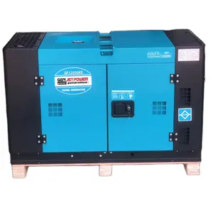 Hochwertiger elektrischer Start 50 Hz/60 Hz tragbarer Schwenkgenerator Typ 9 kW 9 KVA Dieselgenerator mit Werkspreis