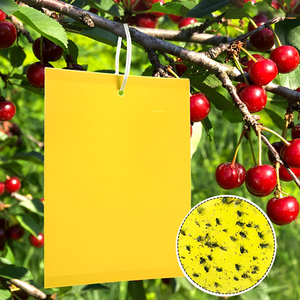 Trampas Adhesivas Amarillas Ecológicas Recubiertas de Papel de 10*15/15*20/20x30cm para Insectos, Disponibles para Granjas Orgánicas y Jardines Domésticos - Product Image 1
