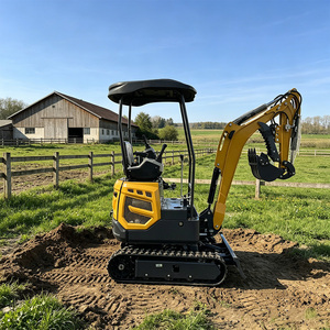Mini Excavadora con Envío Gratuito, Motor 5 CE, 1.6 Toneladas, Excavadora Hidráulica Pequeña, Mini Excavadora con Orugas de Goma para Granja y Jardín - Product Image 4
