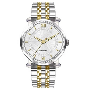 Reloj de pulsera de moda de lujo para mujer, esfera de cristal de zafiro de 26mm, logotipo personalizado, movimiento mecánico automático, puntero de esfera de 26mm - Product Image 3