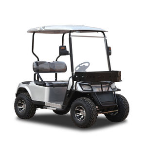 Voitures de golf au prix d'usine, gamme exclusive pour tous les golfeurs - Chariot à fonction poussoir, couleurs personnalisées, voitures de golf 2 places - Product Image 2