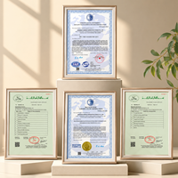 Poudre de poulet mélangée de haute qualité OEM ODM, assaisonnement pour poulet certifié Halal pour emballage personnalisé
