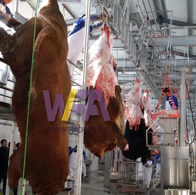 Macchine per la lavorazione della carne di bovini Halal attrezzature per la macellazione del manzo per il taglio della mucca macchina per piante di macello da macellaio